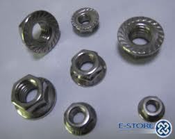 Stainless Steel Flang Nut