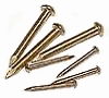 Brass Nail