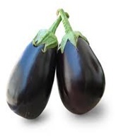 Organic Brinjal Seed