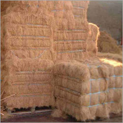 Coconut Fiber