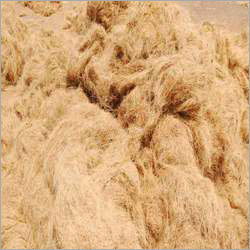 Coconut Coir Fibre