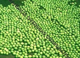 Moong ( Green Beans )
