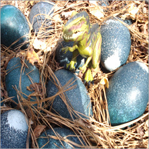 Emu Farming - Oval Large Eggs, Teal Smooth Shell | Disease Resistant, Easy Management, Fast Growth, High Yield, Sustainable Farming