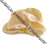 Urad Papad