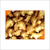 Zingiberofficinalis (Ginger)