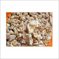Boswellia Serrata