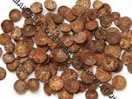 Betelnut Roasted
