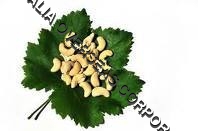 Cashews - Off-White, Kidney-Shaped, Varied Size | Delicious Taste, Healthy Snack, Versatile Use