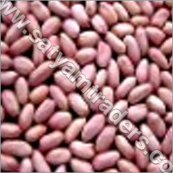 Peanuts