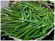 Non-Hybrid Okra Seed