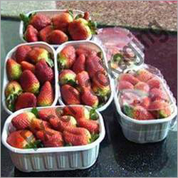Fruit Trays