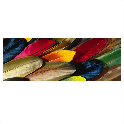 Digital Print Silk Wool Scarf