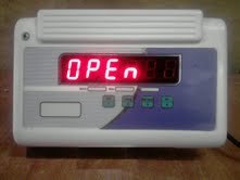 Hanging Scale