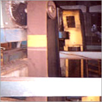 Poly-V Plant