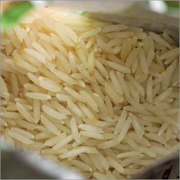 Paddy Rice