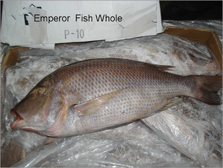 Emperor Fish Whole