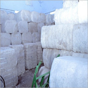 Cotton Cut Waste