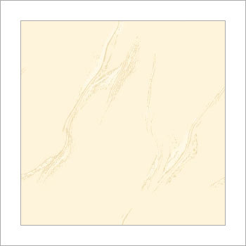 Florida Vitrified Tiles