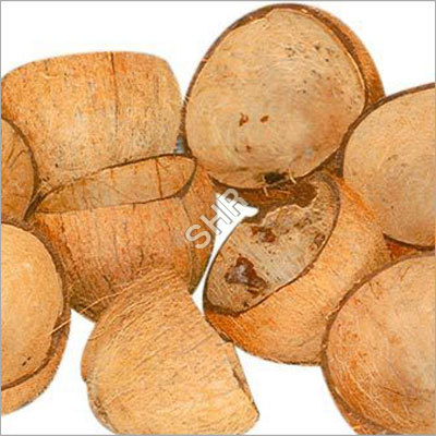 Coconut Shell