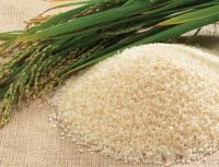 Grains