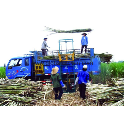 Sugarcane Loader (SQCL01)