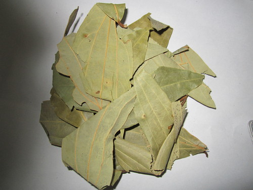 BAY LEAFS - TEJ PATTA