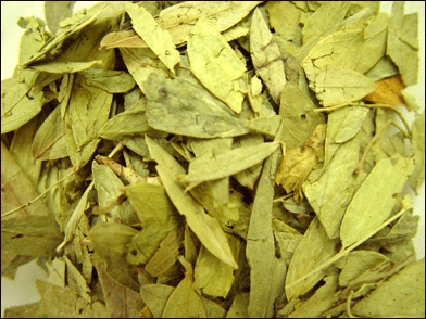 Natural Senna Leaves