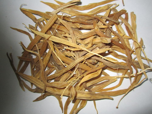 Asparagus Racemosus - Satwar
