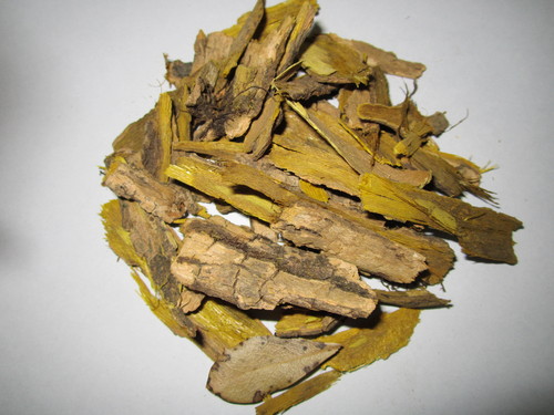 Berberis Aristata - Daru Haldi