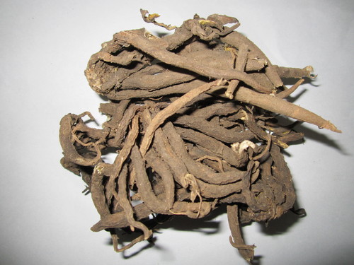 Curculigo Orchoides - Kali Musli