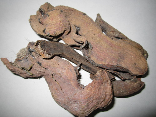 Pistacia Integerrima - Kakarsinghi