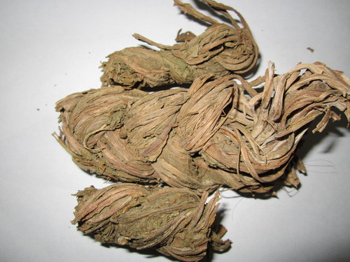 Rheum Astrale (Leaf Stak)