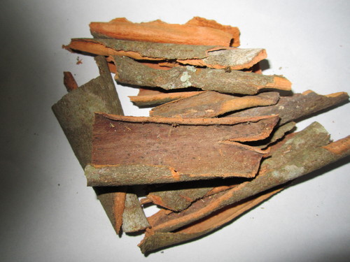Cinnamomum Tamala (Bark) - Dal Chini