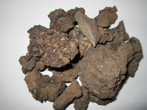 Asphaltum - Shilajit