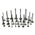 Three Wheeler Engine Valve