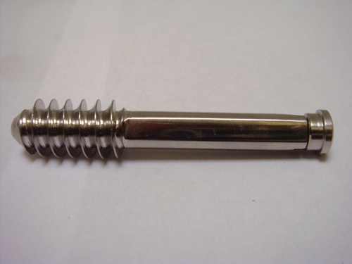 Stainless Steel Dhs Leg Screw