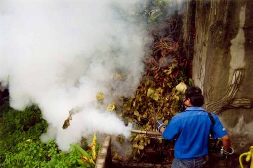 Thermal Fogging Treatment Services