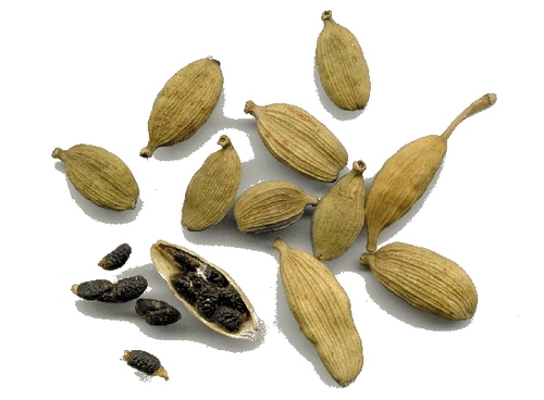 Cardamom