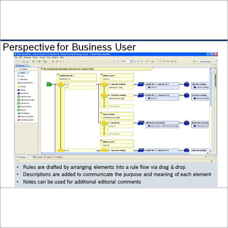Visual Rules Software Services