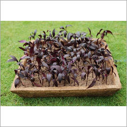 Jute Garden Accessories