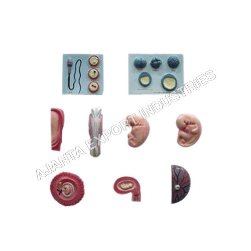 Period Of Gestation Set Application: For Medical Laboratory And Hospital