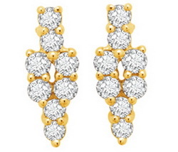 Avsar Real Gold and Diamond Flower Bouquet Shape Earring # AVE055
