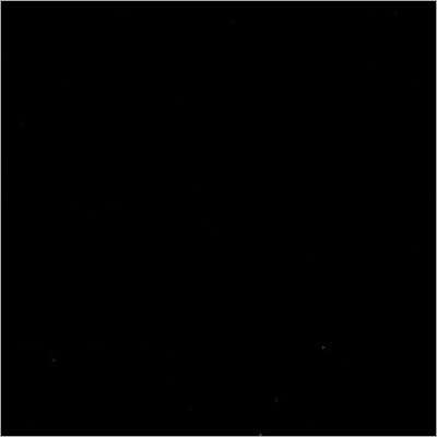 Jet Black Granite