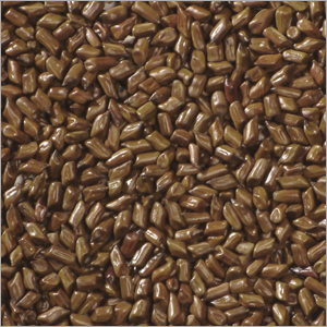 Cassia Tora Seeds