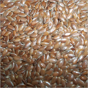 Flax Seed