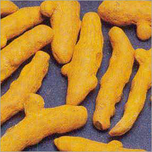Turmeric Finger