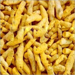 Turmeric Finger