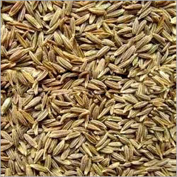 Cumin Seeds