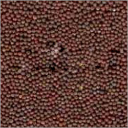 Mustard Seeds