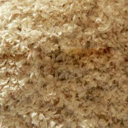 Psyllium Husk